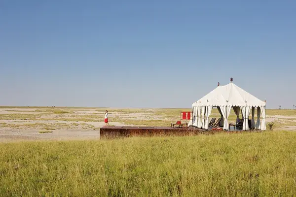 11 San Camp Swimming pool tent Botswana Natural Selection