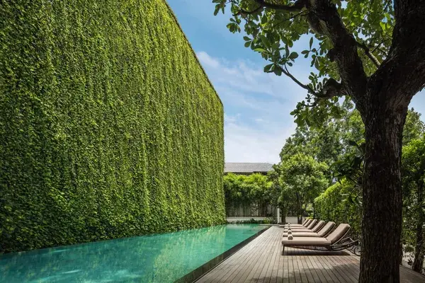 137 Pillar house Hotel swimmingpool Chiang Mai Thailand