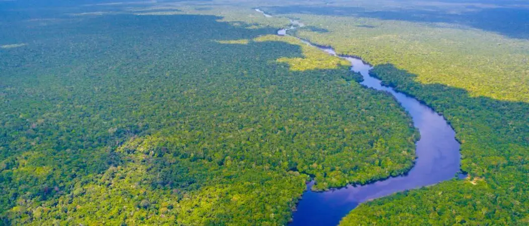 Brazil Amazon