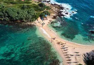 Aerial view of blue beach island Drone view of the beaches of Sri Lanka Canva Pro