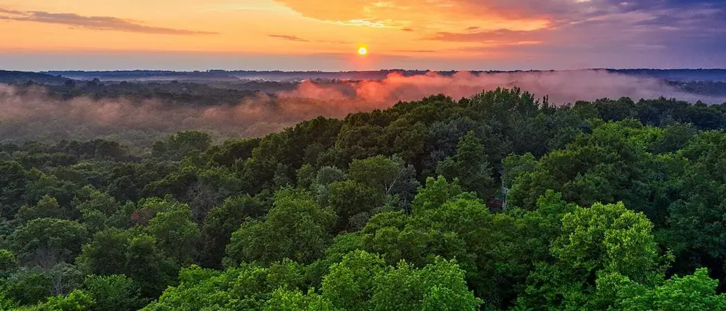 Amazon rainforest