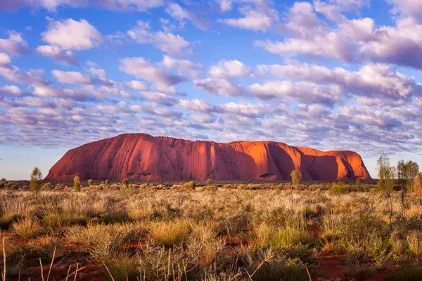 Australia Coverhr 1