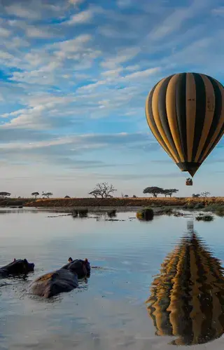 Balloon Trans serengeti Tanzania