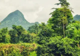 Biosphere Reserve Principe Sao Tome and Principe Atlantic Ocean Africa Canva Pro