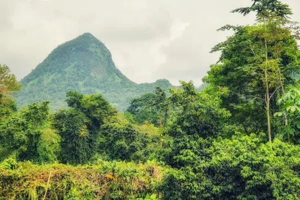 Biosphere reserve Sao Tome and Principe