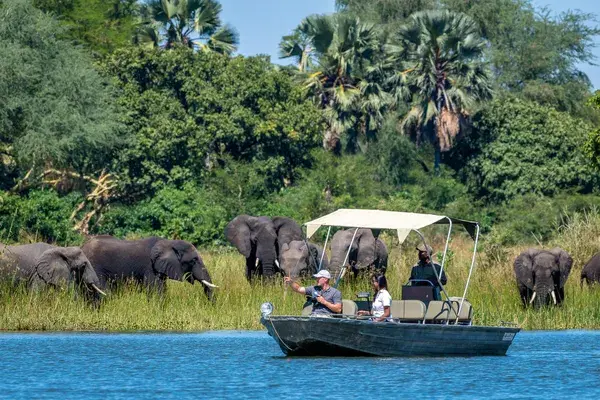 Boat Safaris