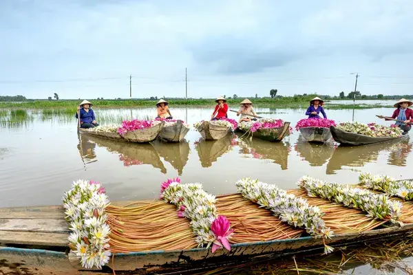 Boats with flowers on the mekong delta Vietnam pexels