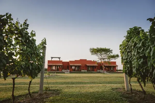 Bodega el Legado