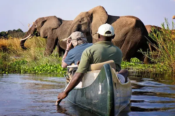 Canoe Safari Mana Pools