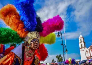 Carnaval Canva Pro