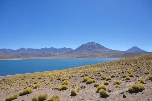 Chile Laguna Miscanti Pixabay