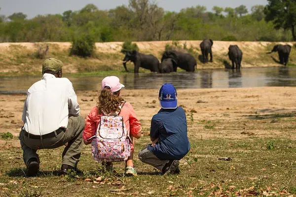 Chitwa Chitwa Family Safari