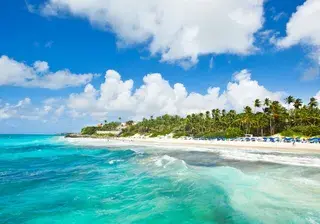 Crane Beach Barbados Canva Pro