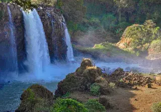 Discovering Ethiopia Canva Pro