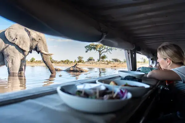Elephant Pan Sunken Hide Botswana