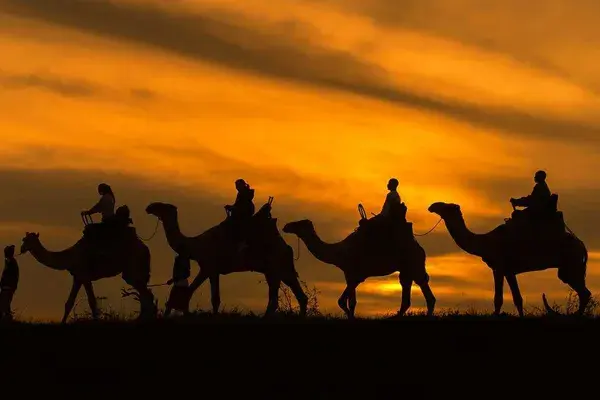 Elewana Lodo Springs Loisaba Camel Trekking