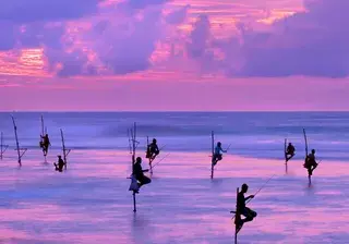 Fishermen on stilts in silhouette at the sunset in Galle Sri Lanka Canva Pro