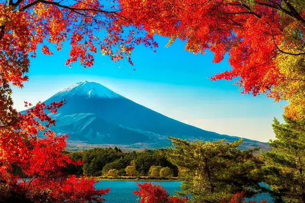Fuji san autumn leaves framing Mt Fuji Japan no white border