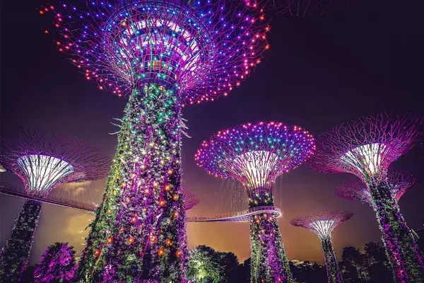 Gardens by the Bay at night Singapore