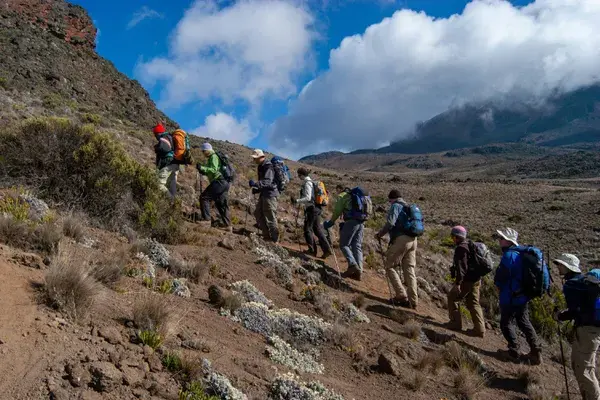 Hikers on the trail up Kilimanjaro Tanzania