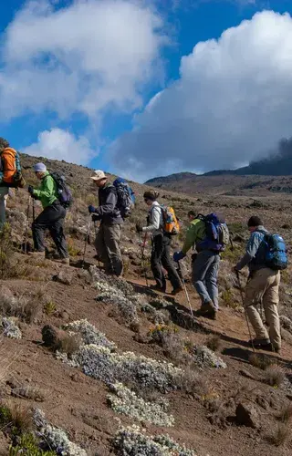 Hikers on the trail up Kilimanjaro Tanzania