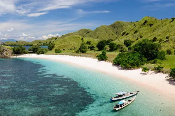 Indonesia Canva Pro