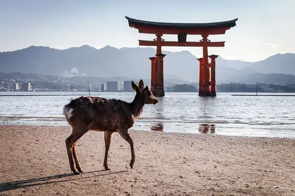Itsukushima Shrine with deer Hiroshima Prefecture Japan Canva Pro