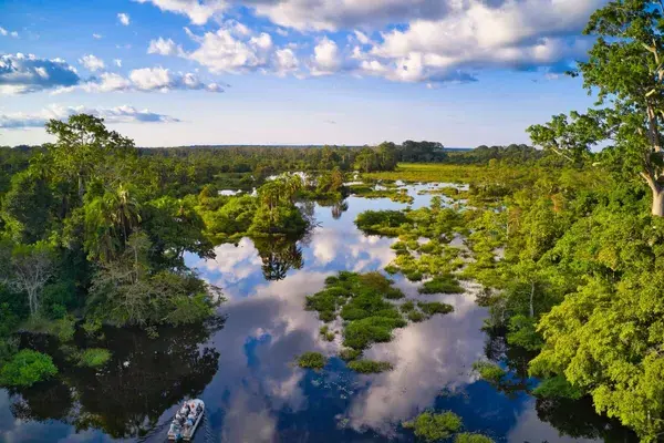 Jungle river in the Congo Basin Congo Canva Pro