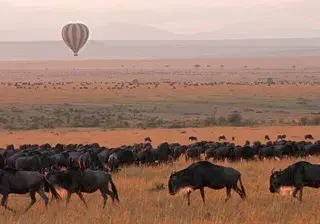 Kenya Canva Pro