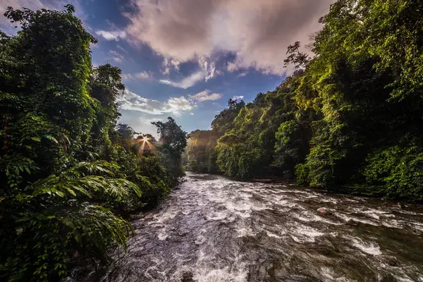 Kurching landscape stram Borneo Destination Asia photo