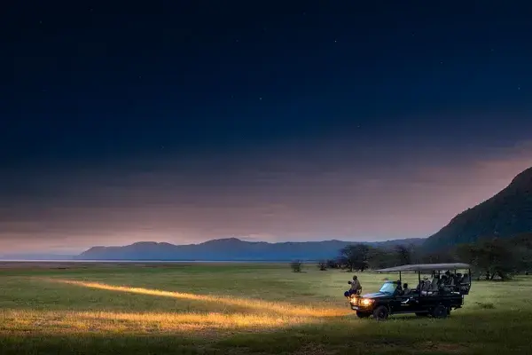 Lake Manyara Night Drive