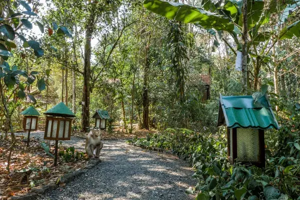 Lodge Walkways Topas Ecolodge Sapa Vietnam Facebook