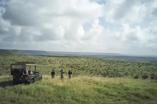 Loisaba game drive