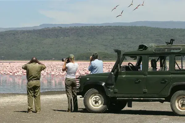 Loldia House Flamingo Safari