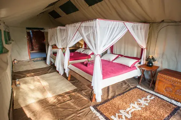 Mandrare River Camp Twin Room