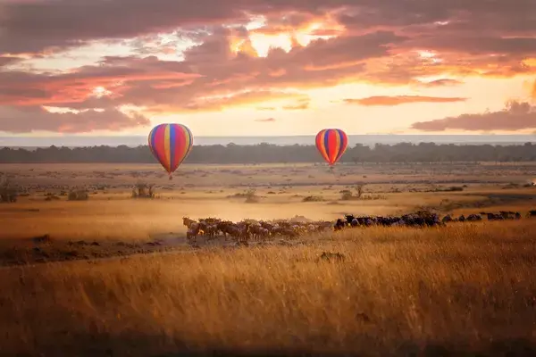 Masai Mara Hot Air Ballooning