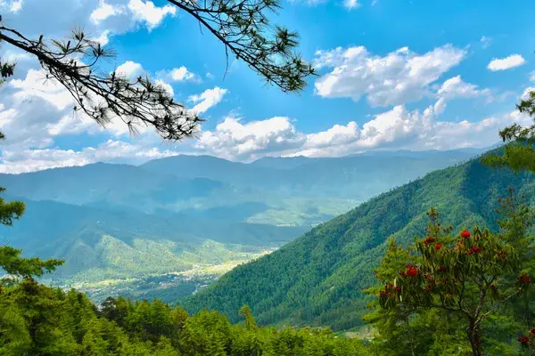Mountain view Paro B Hutan min