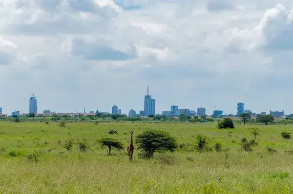 Nairobi national park