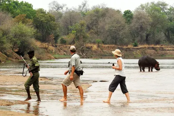 North Luangwa Walking Safari Zambia