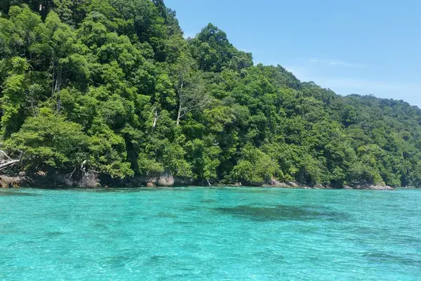 Ocean and bush Khao Lak Thailand