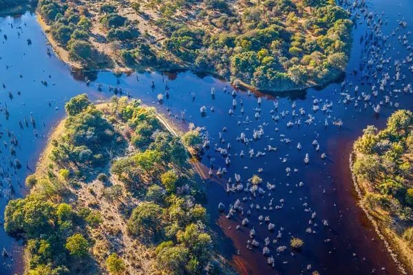 Okavango Delta