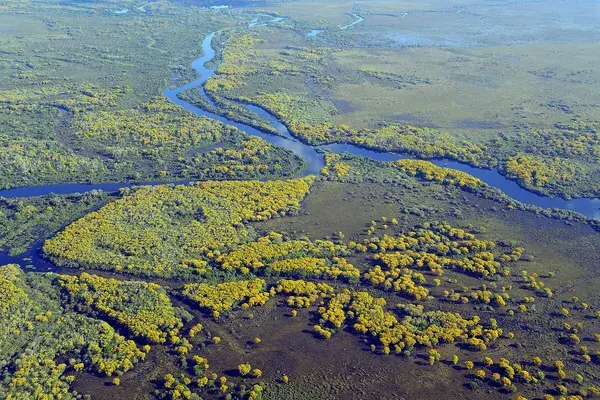 Pantanal wetlands Brazil
