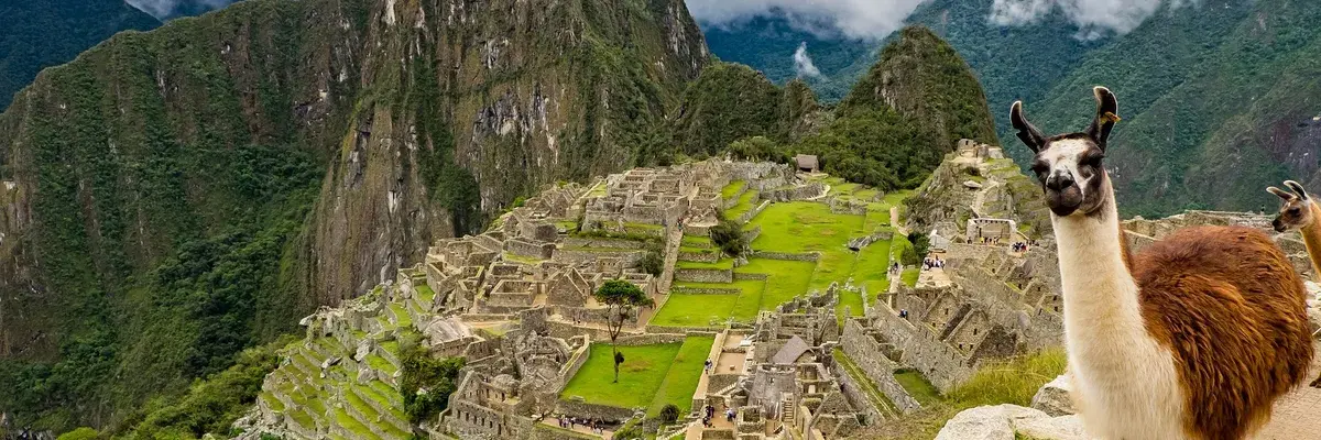 Peru llama Machu Picchu