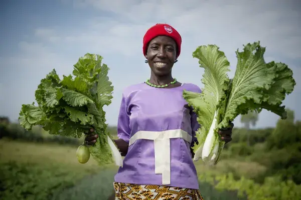 Positive Impact Veggie Project