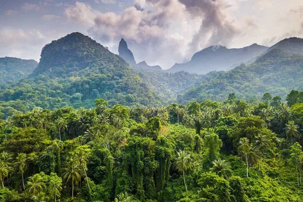 Príncipe Vista