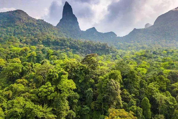 Rainforest And Peak Sao Tome Principe