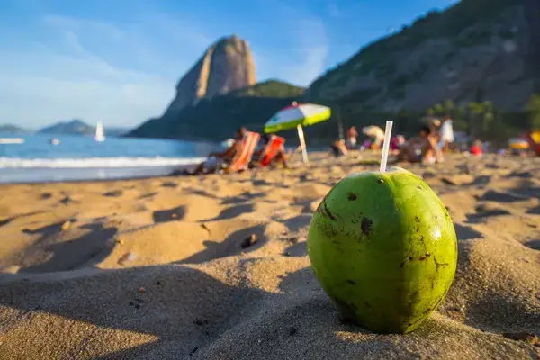 Rio coconut on the beach Brazil