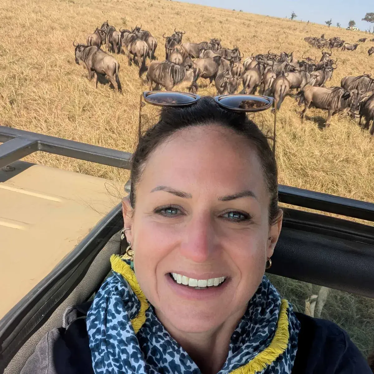 Ruth Safari Tanzania buffalo
