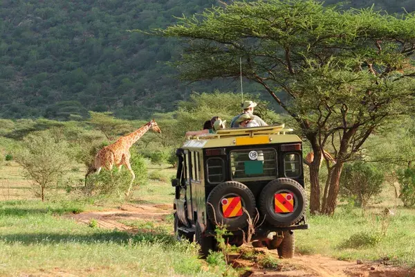 Safari in Kenya Canva Pro