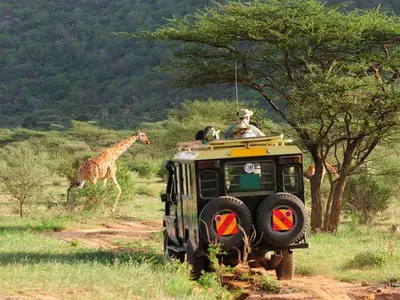 Safari in Kenya Canva Pro